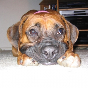 But WHY can't we go play?