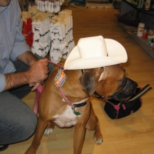 Yee Haw!  Just in town for supplies!