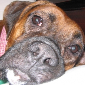 EXTREME Closeup
