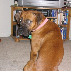 Mom!  Can't you see I was watching that?