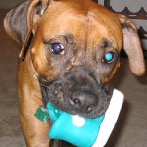 Man, oh man, do I love my shoe!