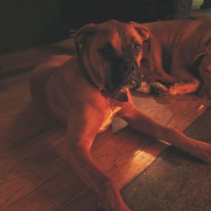 tyson by the fire