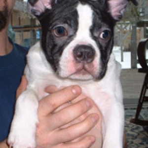 Ain't I cute?