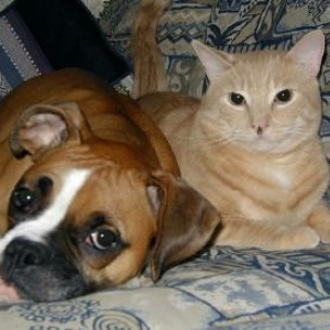 Madison and her kitty, Parker.
