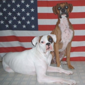 God Bless the USA