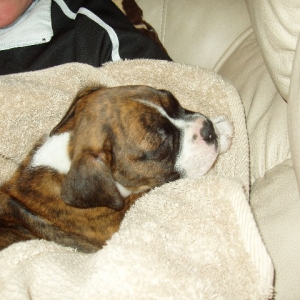 Eight weeks