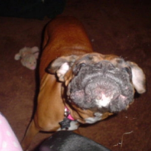 GIVE ME A KISS!!!