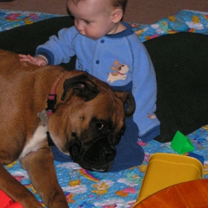 Good Puppy