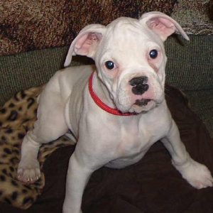 Fiona