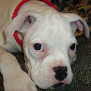 Fiona