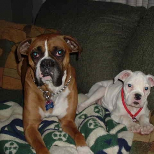 Big brother & Little sister