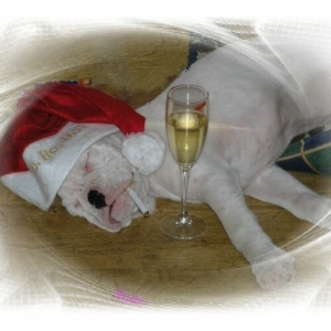 m_all_partied_out_