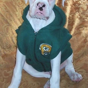 Cheesehead?????????
