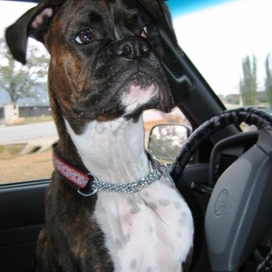 Good Girl!