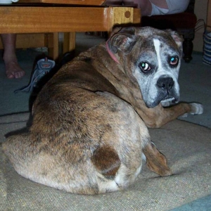 Does my butt look big?