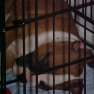 In Jail
