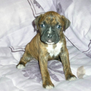 My Baby Girl Emma