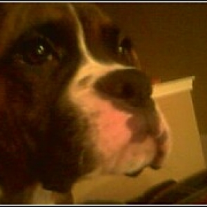 Oakley up close