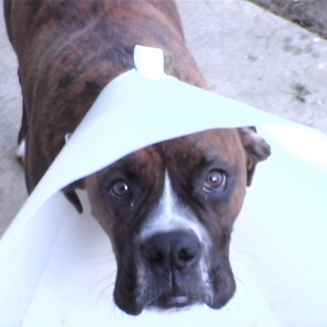 CASSIUS-6 MONTHS-RECOVERING