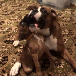first kisses!