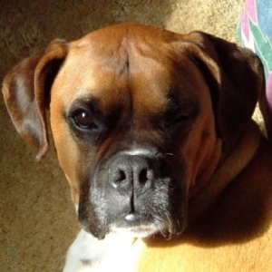 What a ham!!!