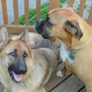Two tan beauties