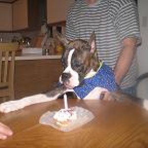 make_a_wish