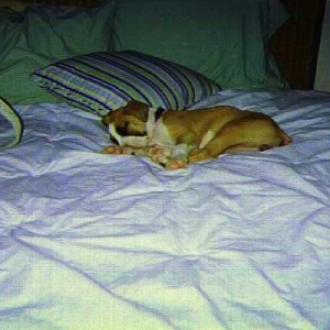 brooxy sleeping
