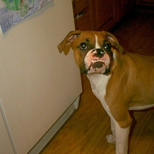how do you like my smile?