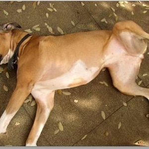 A Typical Position for Maddie