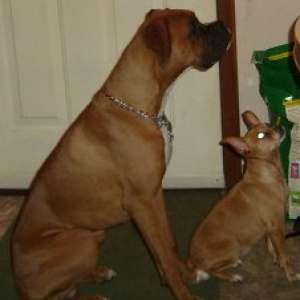Mac and Precious