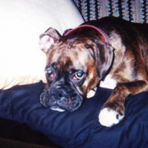 tessa_xmas_2004_3