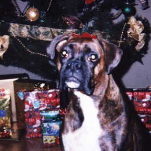 tessa_xmas_2004_4