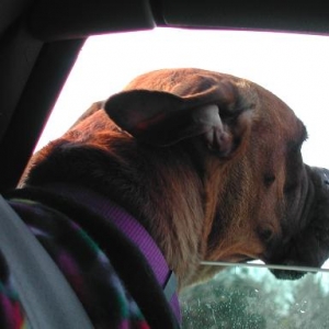 Goin' for a Ride!