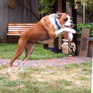 Up up and away