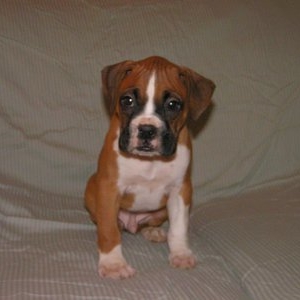 My New Lil Darling