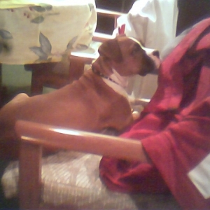 Bettis