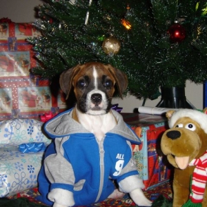 Duncan's 1st Christmas 12-04
