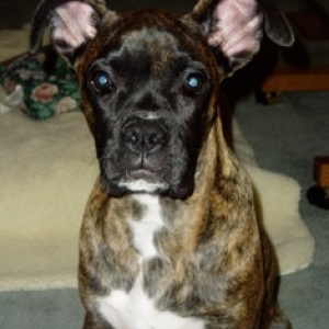 Alexis 4 mths