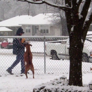 Give me the Mail.. Mailman
