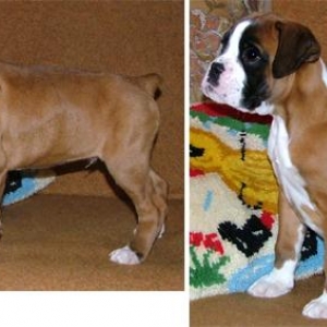 Importing from Europe. Help me choose a name!