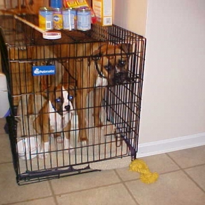Both are in jail now!