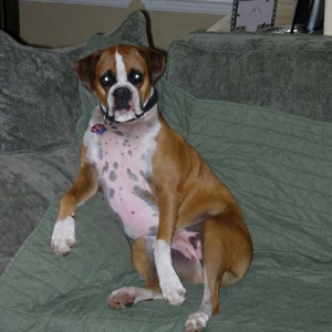 Sydney Chillin' on Sunday Morning