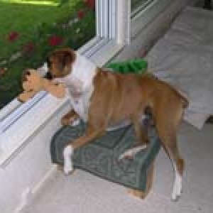 Sydney watching the kids play!