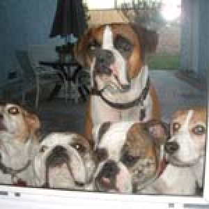 Sydney and her sisters.