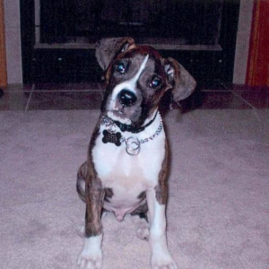 I am so darn cute!