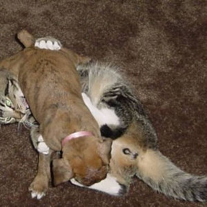 Take Down!