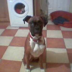 bonny the angel!! (not)