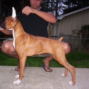 Stacked Pic...Shes growing so fast!