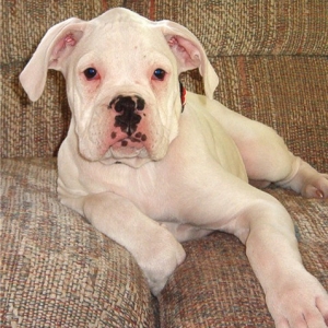 Meet our newest member